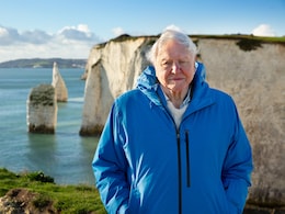NDTV Exclusive: On World Oceans Day, <i>Ocean With David Attenborough</i> Makers Deep Dive Into Life Under Water NDTV Exclusive: On World Oceans Day, <i>Ocean With David Attenborough</i> Makers Deep Dive Into Life Under Water