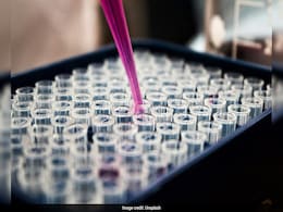 Deadly "Pharaoh's Curse" Fungus Can Help Fight Cancer, New Study Finds Deadly "Pharaoh's Curse" Fungus Can Help Fight Cancer, New Study Finds