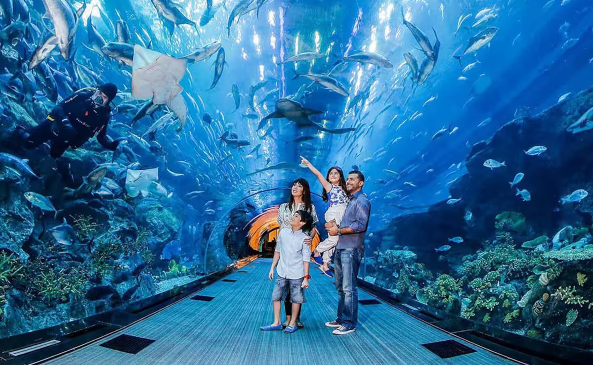 Photo: Courtesy of Dubai Aquarium & Underwater Zoo Photo: Courtesy of Dubai Aquarium & Underwater Zoo