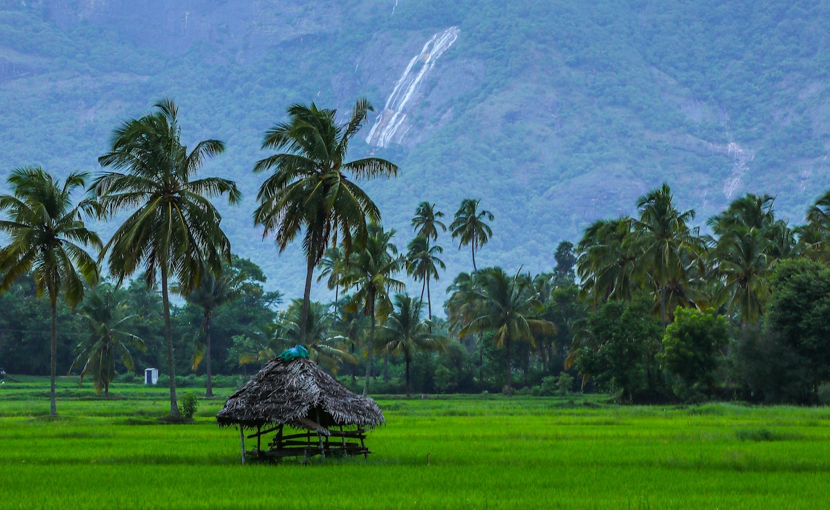 Photo: Unsplash Photo: Unsplash