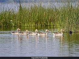 India Is Home To 2 New Ramsar Wetland Sites, Tally Touches 91 India Is Home To 2 New Ramsar Wetland Sites, Tally Touches 91