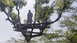 Rajasthan: सीकर में रातभर वन कर्मचारी वन्&zwj;य जीवों की करते हैं ग&zwj;िनती, द&zwj;िखा पैंथर और दहाड़ सुनाई दी