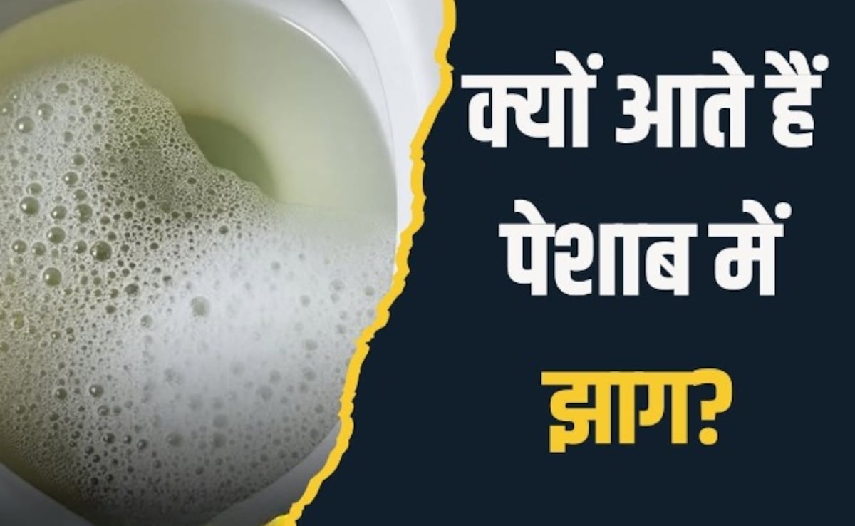 What Does Foam In Urine Indicate What Does Foam In Urine Indicate