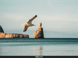 Popular Spanish Destination Limits Tourist Cars, Caravans Popular Spanish Destination Limits Tourist Cars, Caravans