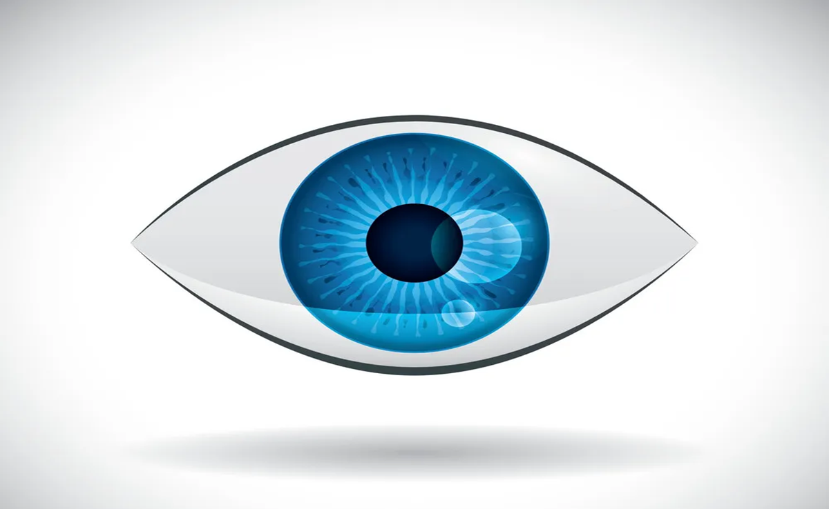 Eye Bank: 10 साल से बंद आई बैंक फिर शुरु, ग्वालियर-चंबल के नेत्रहीनों के जीवन में आएगा उजियारा