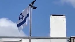 Video: Bird Rips Israeli Flag Off Pole. Internet Calls It "Sign From God"