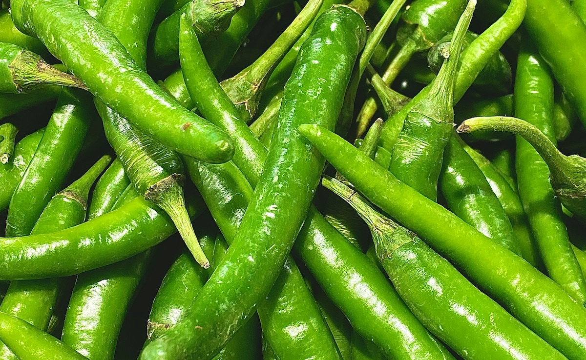 Latest and Breaking News on NDTV Latest and Breaking News on NDTV