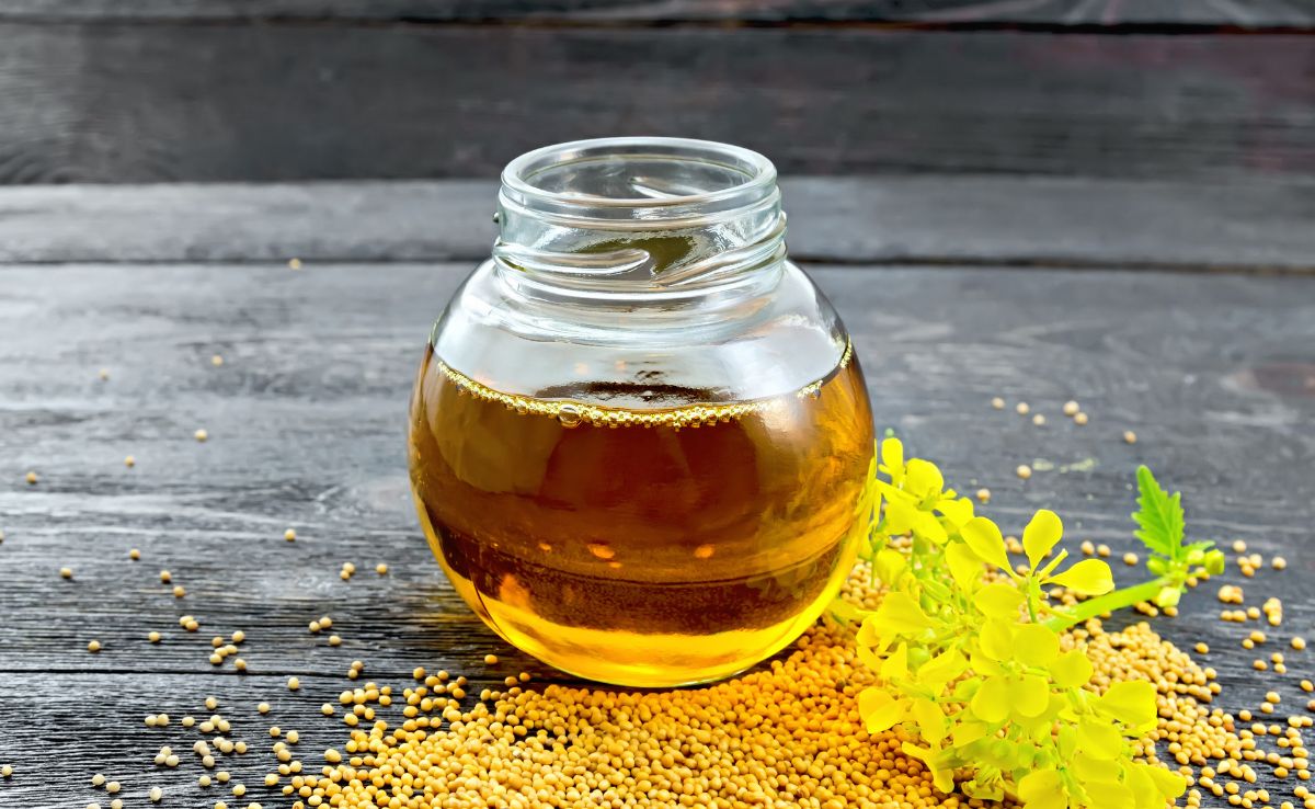 Mustard oil is high in monounsaturated (MUFAs) and polyunsaturated fatty acids (PUFAs)