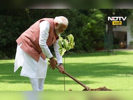 Sindoor Tree: PM मोदींनी लावलेलं सिंदूर झाड नेमकं कसे असते? महाराष्ट्रातील 'या' गावात आहे भलामोठा वृक्ष Sindoor Tree: PM मोदींनी लावलेलं सिंदूर झाड नेमकं कसे असते? महाराष्ट्रातील 'या' गावात आहे भलामोठा वृक्ष