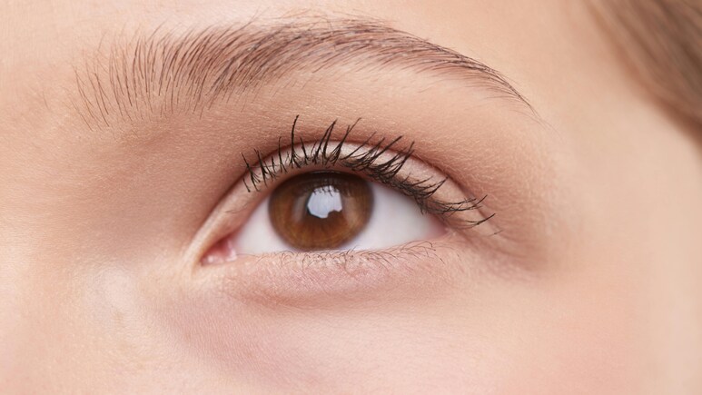 Eyebrows दिखने लगेंगी शानदार अगर इनकी शेप होगी दमदार, जानें कैसे करें इन्हें ट्रिम Eyebrows दिखने लगेंगी शानदार अगर इनकी शेप होगी दमदार, जानें कैसे करें इन्हें ट्रिम