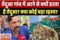 Shivpuri के इस गांव का नाम क्यों रखा गया Tendua? | Ground Report | Madhya Pradesh | Panther Attacks Shivpuri के इस गांव का नाम क्यों रखा गया Tendua? | Ground Report | Madhya Pradesh | Panther Attacks