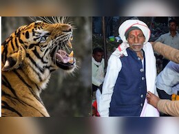 रणथंभौर में फिर टाइगर अटैक, एक व्यक्ति को उठा ले गया, बचाने के लिए पीछे दौड़े वन विभाग अधिकारी रणथंभौर में फिर टाइगर अटैक, एक व्यक्ति को उठा ले गया, बचाने के लिए पीछे दौड़े वन विभाग अधिकारी