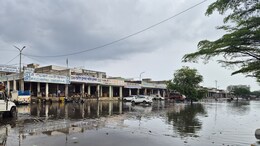Rajasthan: सड़कें बनीं दरिया, मंडी में बुरा हाल... राजस्थान में बारिश के बाद जलभराव बना सिरदर्द
