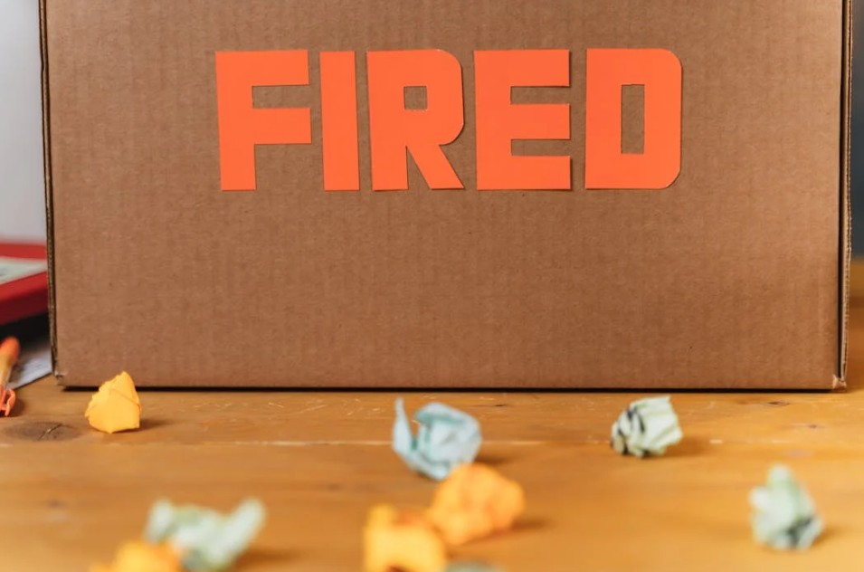 हाइक मांगने गया था, नौकरी ही चली गई! Appraisal मीटिंग में टेकी के साथ हुआ बड़ा खेल, पोस्ट वायरल