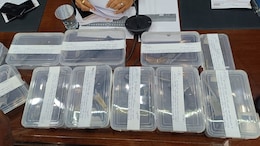 Pistols, Cartridges: Delivery Agent Caught In UP With Unusual Package