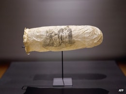 19th Century Condom, With Erotic Image, On Display At Dutch Museum 19th Century Condom, With Erotic Image, On Display At Dutch Museum