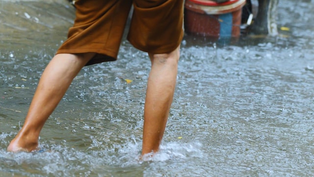 Leptospirosis often presents with flu-like symptoms
