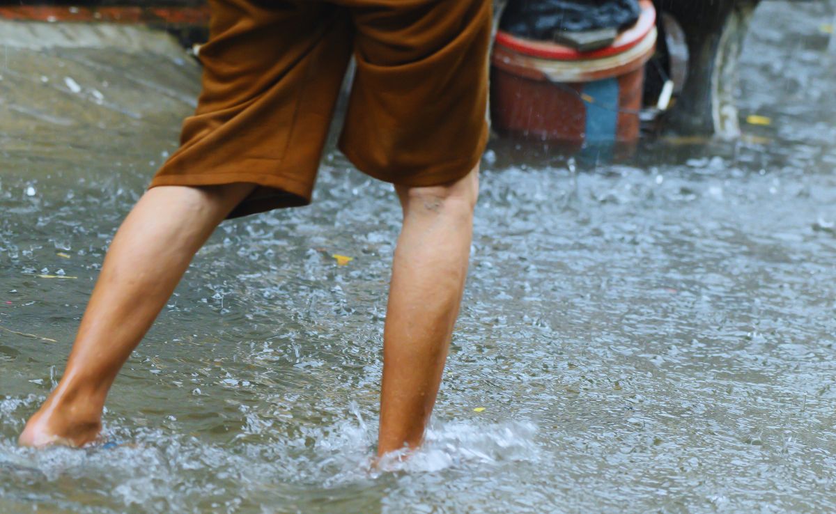 Leptospirosis often presents with flu-like symptoms