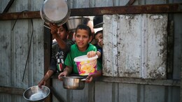Gaza Malnutrition Rate Reaching "Alarming Levels": WHO Amid Humanitarian Crisis
