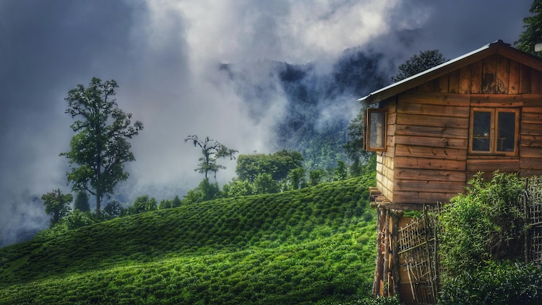 How Rural Homestays Are Redefining Travel In 2025