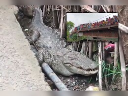 Crocodile in Village: घर का गेट खोला तो सामने बैठा मगरमच्छ मिला, घंटों की मशक्कत के बाद वन विभाग ने किया रेस्क्यू Crocodile in Village: घर का गेट खोला तो सामने बैठा मगरमच्छ मिला, घंटों की मशक्कत के बाद वन विभाग ने किया रेस्क्यू