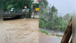 Maharashtra Rain: कोल्हापूर जिल्ह्याला पावसाने झोडपलं! वाहने अडकली, घरांमध्ये पाणी शिरलं