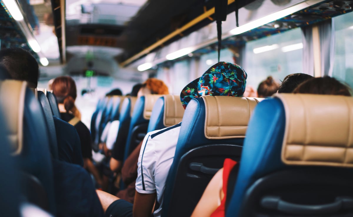 bus bus