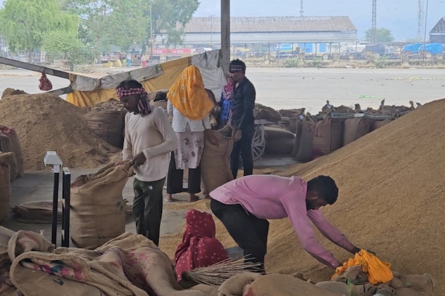 हाड़ौती की मंडी में कोटा, बूंदी और मध्य प्रदेश के श्यौपुर का धान आता है
