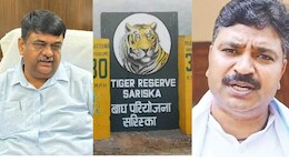 Rajasthan: सरिस्का के CTH पर वन मंत्री की टीकाराम जूली को दो टूक, कहा-  विरोधियों में है ज्ञान का अभाव