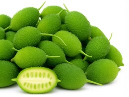 मीठा करेला: सेहत का खजाना, स्वाद का मेल