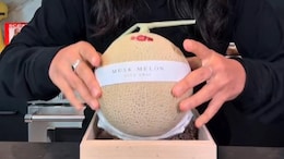 What Does A Japanese Melon Worth Rs 8600 Taste Like? Viral Video Reveals