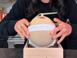 What Does A Japanese Melon Worth Rs 8600 Taste Like? Viral Video Reveals What Does A Japanese Melon Worth Rs 8600 Taste Like? Viral Video Reveals