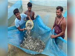 कांकेर बना छत्तीसगढ़ का मत्स्य बीज हब , UP-MP, आंध्रप्रदेश, महाराष्ट्र, समेत कई राज्यों में भारी डिमांड 