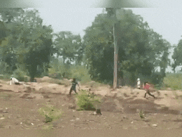 Khandwa News: अतिक्रमण रोकने पहुंचे थे वन विभाग के कर्मी, तभी पत्थरों से हुआ हमला, पेड़ के पीछे छिपकर बचाई जान Khandwa News: अतिक्रमण रोकने पहुंचे थे वन विभाग के कर्मी, तभी पत्थरों से हुआ हमला, पेड़ के पीछे छिपकर बचाई जान