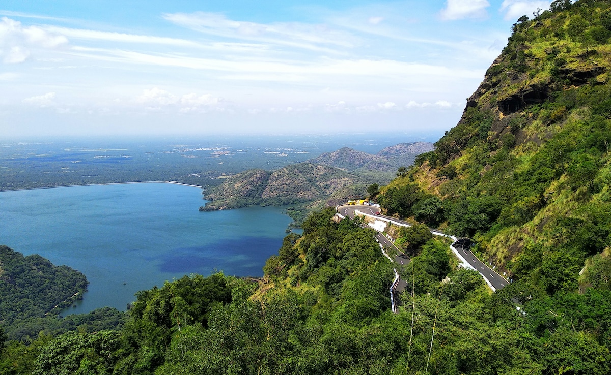 Latest and Breaking News on NDTV