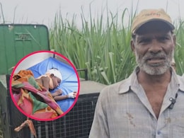 Ahilyanagar News: बिबट्याच्या जबड्यातून आजोबांनी वाचवला नातवाचा जीव; कोपरगावातील थरारक प्रसंग Ahilyanagar News: बिबट्याच्या जबड्यातून आजोबांनी वाचवला नातवाचा जीव; कोपरगावातील थरारक प्रसंग