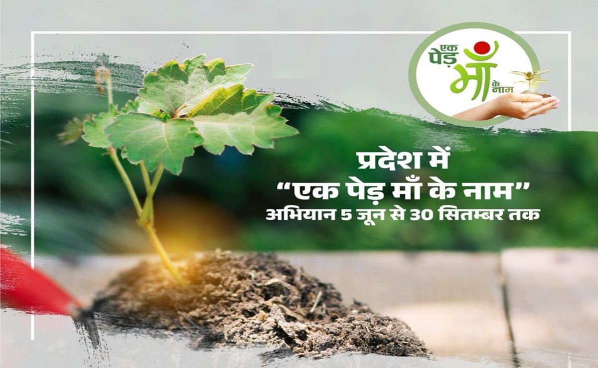 World Environment Day 2025: MP में फिर चलेगा 'एक पेड़ माँ के नाम' अभियान, ऐसा है 50 लाख प्लांटेशन का प्लान