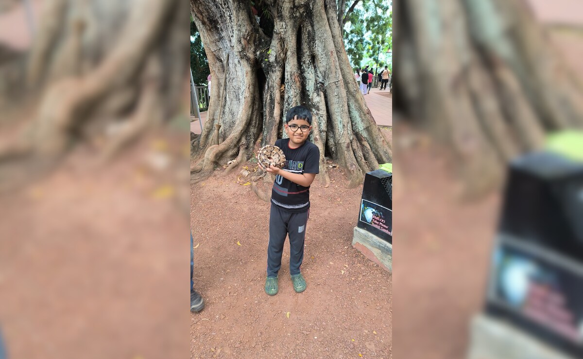 Latest and Breaking News on NDTV