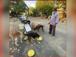 भटके कुत्ते-बिल्लियों को खाना देने वालों को परेशान किया तो खैर नहीं, BMC की नई गाइडलाइन जरूर पढ़ लें
