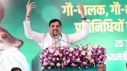 In Madhya Pradesh's Nishad Outreach, A BJP Push For Bihar Polls