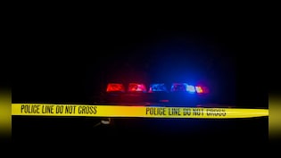 थावे दुर्गा मंदिर चोरी कांड: पुलिस के साथ मुठभेड़ में चोर घायल, चोरी हुए मुकुट के टुकड़े भी बरामद