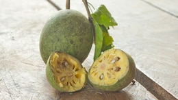 How Bael Fruit Destroys Harmful Bacteria Without Ruining Your Gut Health