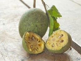 How Bael Fruit Destroys Harmful Bacteria Without Ruining Your Gut Health