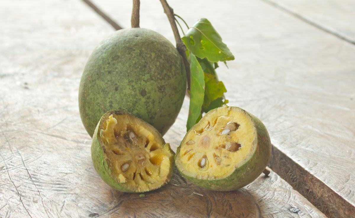 Bael fruit can destroy bad bacteria without ruining your gut health
