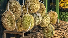 Singapore Hotel Imposes Rs 13,000 Fine On Tourist For Eating Durian In Room