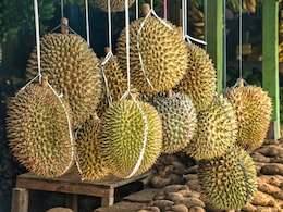 Durian Fruits "Gas-Leak" Smell Creates Panic In German City, Firefighters Alerted Thrice Durian Fruits "Gas-Leak" Smell Creates Panic In German City, Firefighters Alerted Thrice