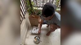 Blinkit User Cracks Open Eggs To Find "Greyish Liquid", Video Goes Viral