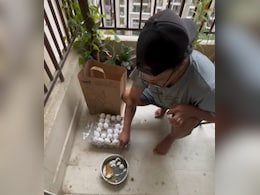 Blinkit User Cracks Open Eggs To Find "Greyish Liquid", Video Goes Viral Blinkit User Cracks Open Eggs To Find "Greyish Liquid", Video Goes Viral
