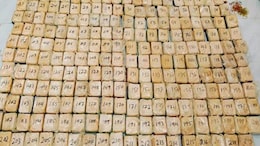 Massive Drug Bust Worth Over Rs 55 Crore In Manipur's Churachandpur