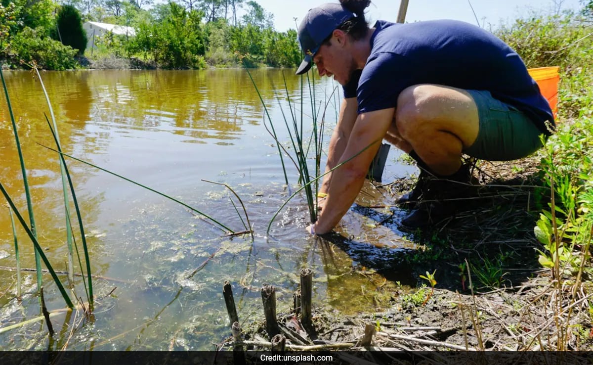 като първата топлинна вълна от Великобритания от 2025 г с